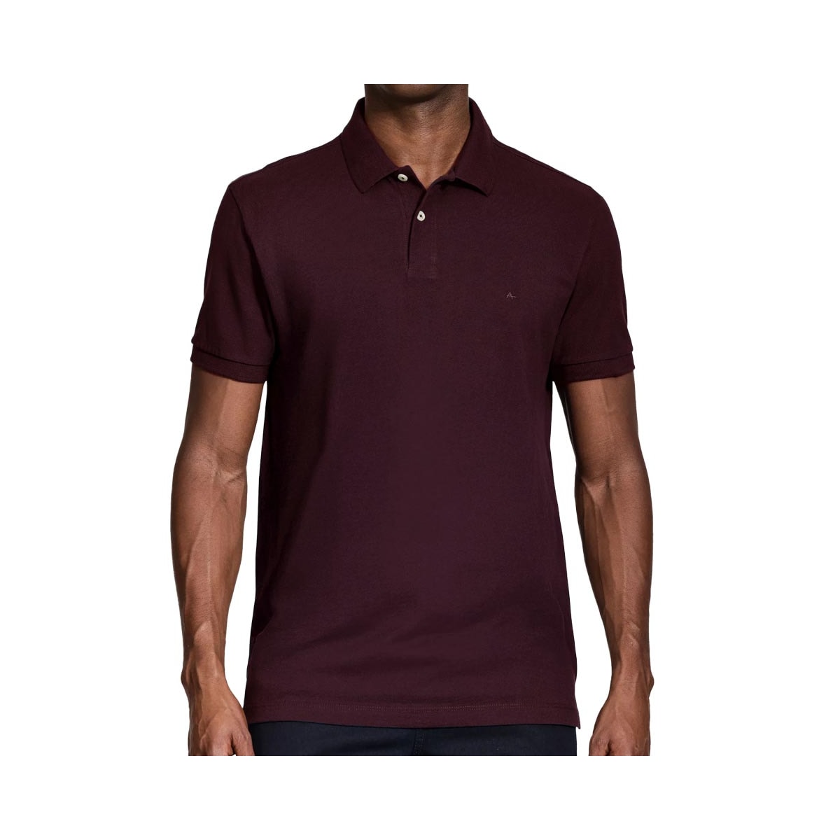 Camisa Aramis Polo Sem Bolso 10.0280 Bordeaux