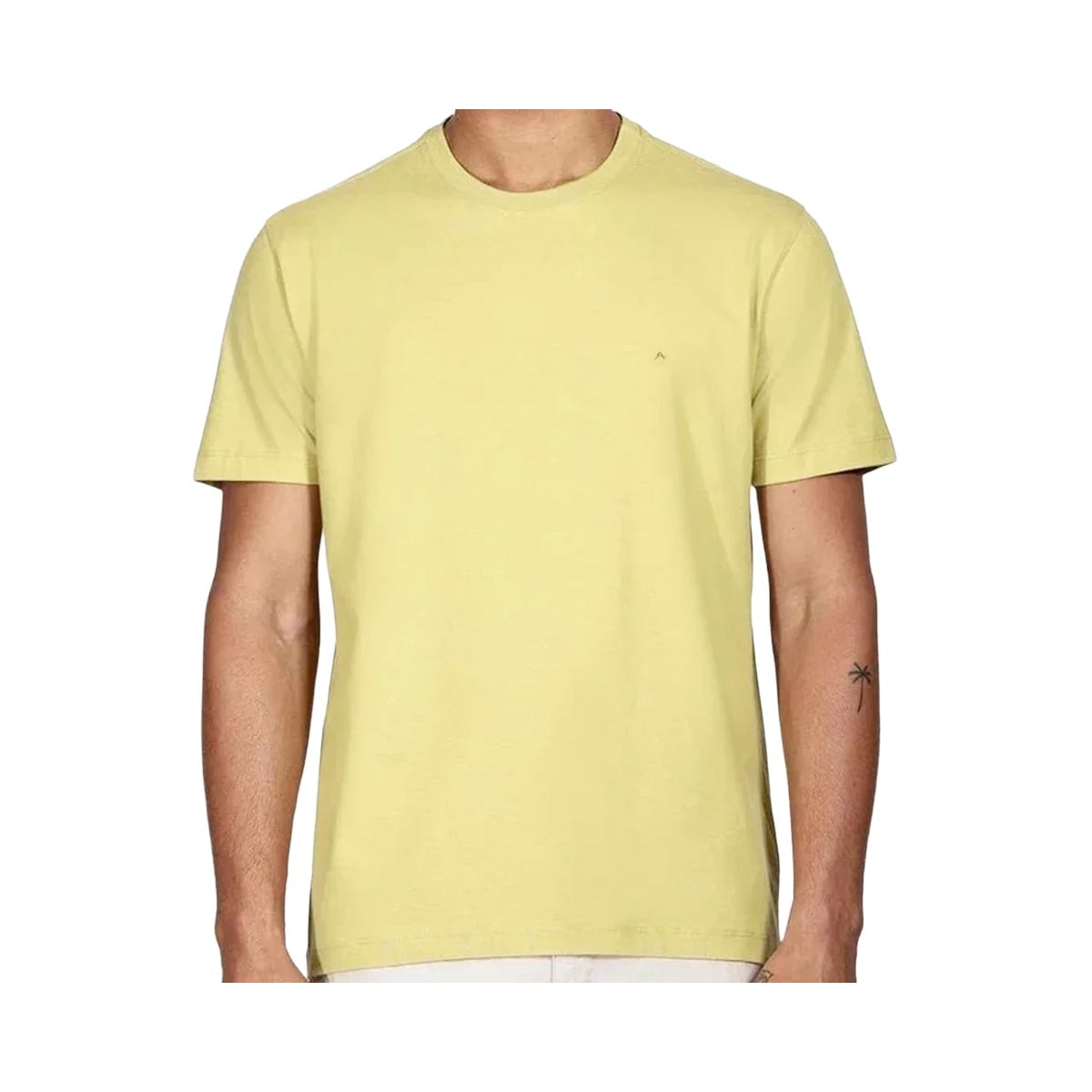 Camiseta Aramis Meia Manga Básica 12.0537 Citrico Camiseta Aramis Meia Manga Básica 12.0537 Citrico