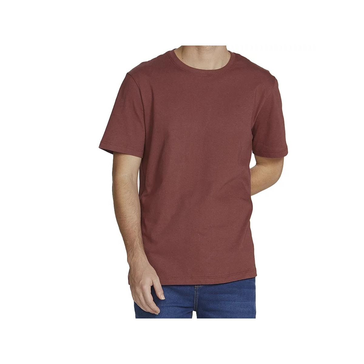 Camiseta Hering Masculina Meia Manga 0201 Bordo Camiseta Hering Masculina Meia Manga 0201 Bordo