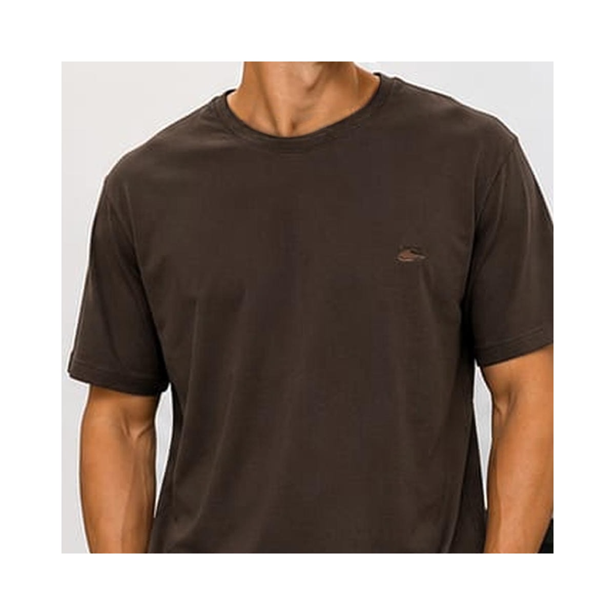Camiseta Sallo Básica Pérgula 10101157 Expresso Marrom