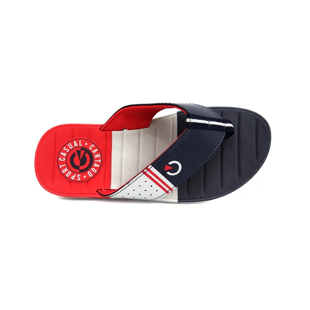 Chinelo Cartago Grendene Sevilha Iv Dedo 11333 Cinza/Azul/Vermelho Chinelo Cartago Grendene Sevilha Iv Dedo 11333 Cinza/Azul/Vermelho