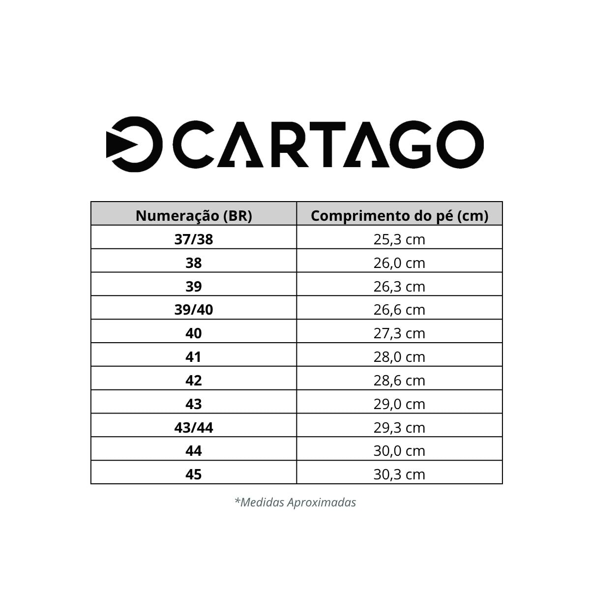 Chinelo Cartago Masculino Belgrado Dedo 12612 Marrom Chinelo Cartago Masculino Belgrado Dedo 12612 Marrom
