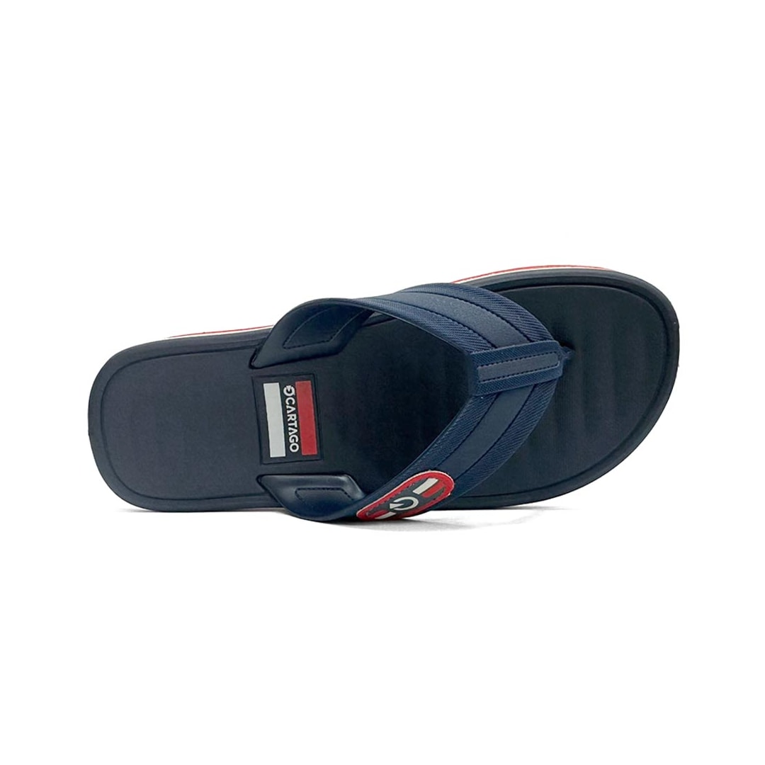 Chinelo Cartago Masculino Dedo Paris Ii 12214 Cinza/Azul