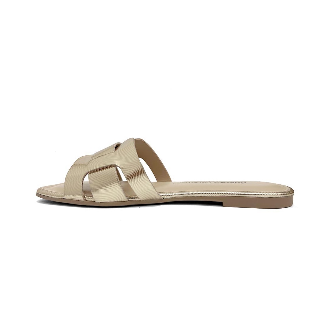 Chinelo Dakota Rasteira Y8041 Champagne Chinelo Dakota Rasteira Y8041 Champagne
