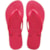 PINK FEVER