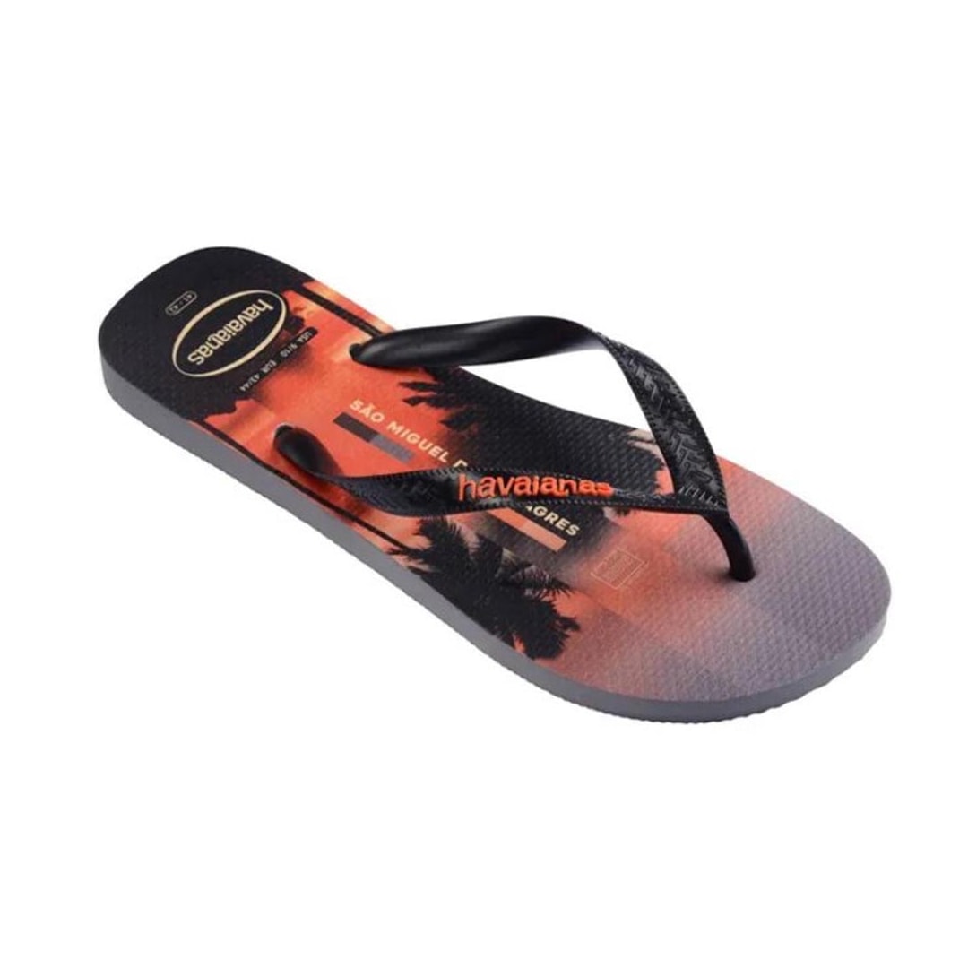 Chinelo Havaianas Surfer I Cinza Aço