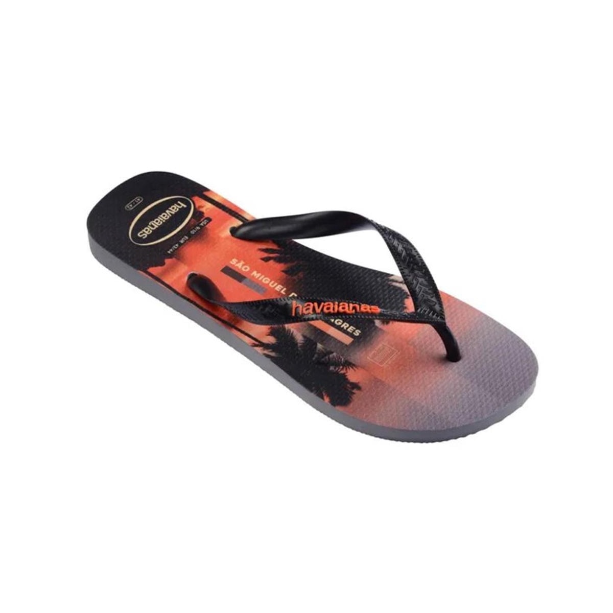 Chinelo Havaianas Surfer I Cinza Aço