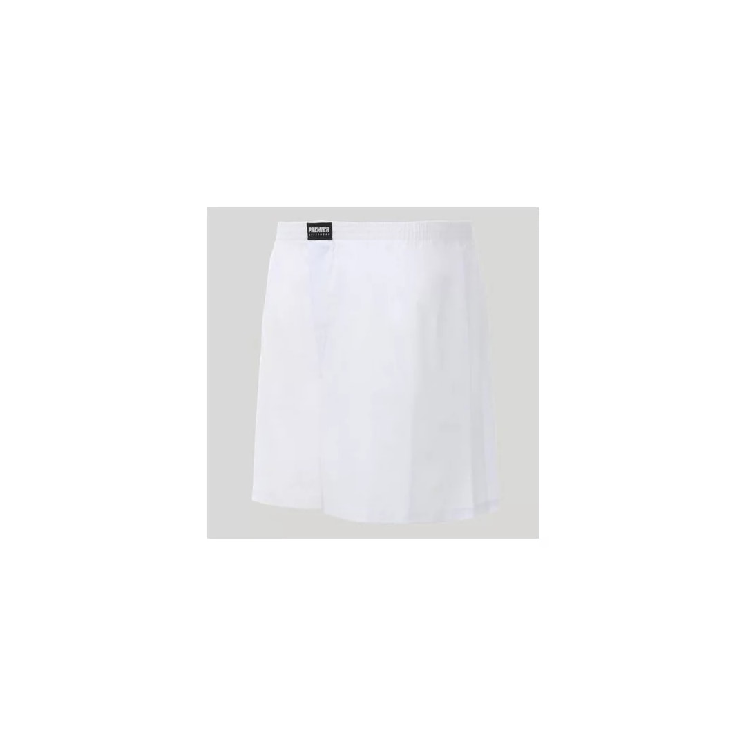 Cueca Presidente Samba Canção Boxer 100% Algodão 7891 - Cores Diversas Cueca Presidente Samba Canção Boxer 100% Algodão 7891 - Cores Diversas