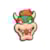 BOWSER