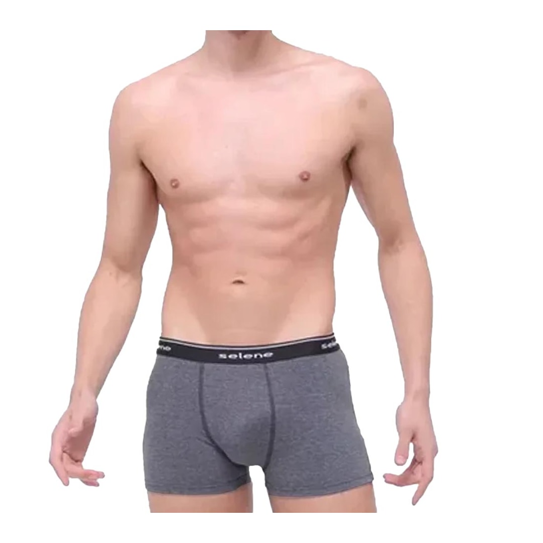 Kit 2 Cuecas Selene Boxer 95% algodao 11450 Kit 2 Cuecas Selene Boxer 95% algodao 11450