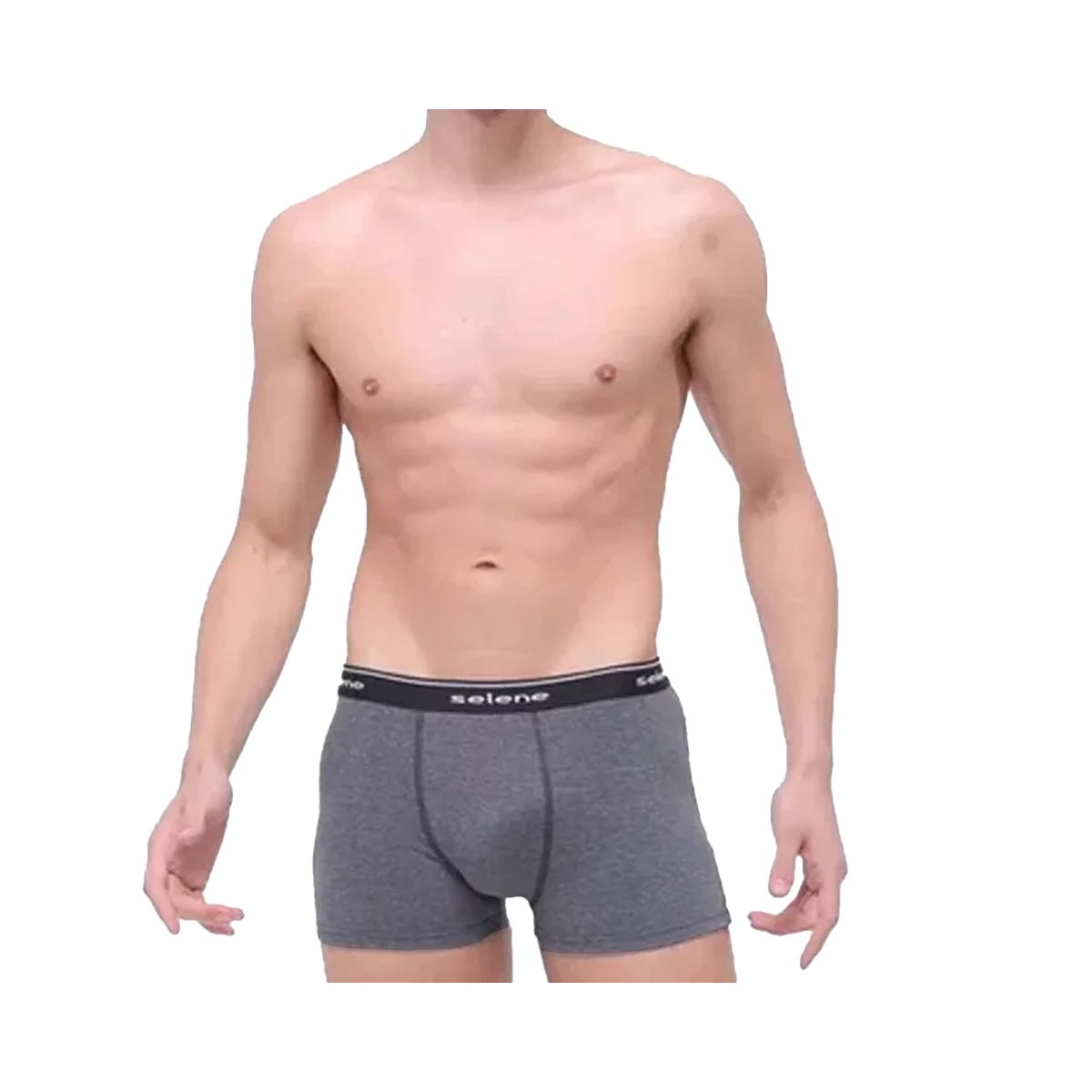 Kit 2 Cuecas Selene Boxer 95% algodao 11450
