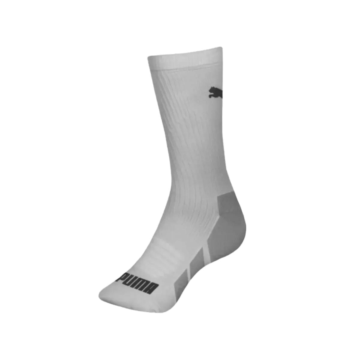 Meia Selene Cano Longo 4425 Cinza Meia Selene Cano Longo 4425 Cinza