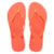 CORAL SPARK