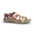 OSTRA NEW COLOR